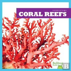 Bertrand.pt - Coral Reefs