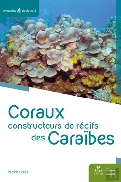 Bertrand.pt - Coraux Constructeurs De Récifs Des Caraïbes