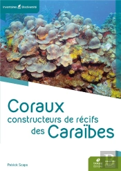 Coraux Constructeurs De Recifs Des Caraibes