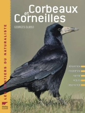 Corbeaux Et Corneilles