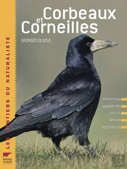 Bertrand.pt - Corbeaux Et Corneilles