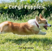 Corgi Puppy 2021 Wall Calendar