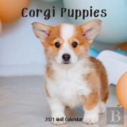 Corgi Puppy 2021 Wall Calendar