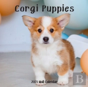 Corgi Puppy 2021 Wall Calendar