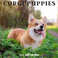 Corgi Puppy 2021 Wall Calendar