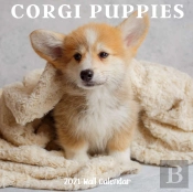 Corgi Puppy 2021 Wall Calendar