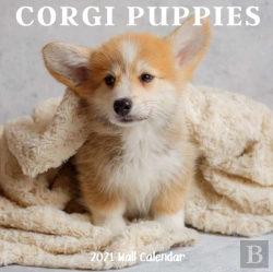 Bertrand.pt - Corgi Puppy 2021 Wall Calendar