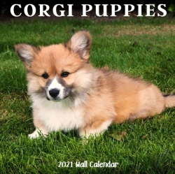 Bertrand.pt - Corgi Puppy 2021 Wall Calendar