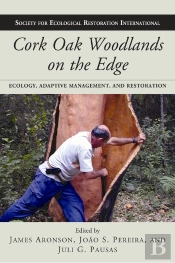 Cork Oak Woodlands On The Edge