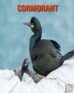 Bertrand.pt - Cormorant