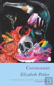 Cormorant