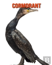 Cormorant