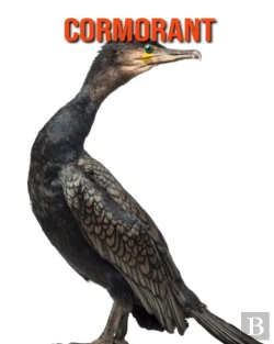 Bertrand.pt - Cormorant