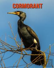 Cormorant