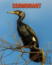 Cormorant