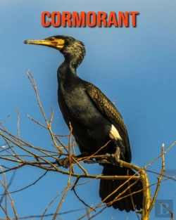 Bertrand.pt - Cormorant