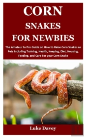 Corn Snakes For Newbies