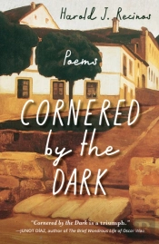 Cornered By The Dark