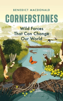Bertrand.pt - Cornerstones
