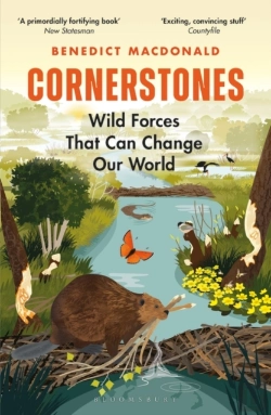 Bertrand.pt - Cornerstones