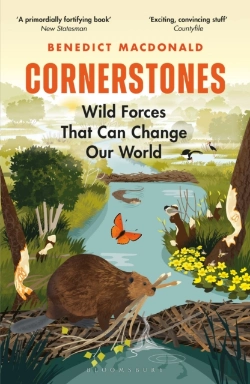 Bertrand.pt - Cornerstones