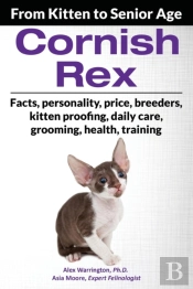 Cornish Rex