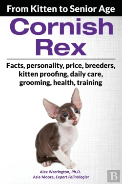 Bertrand.pt - Cornish Rex
