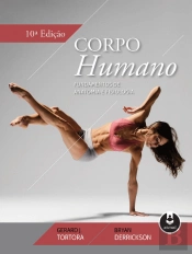 Corpo Humano