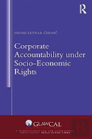 Corporate Accountability Under Socio-Economic Rights
