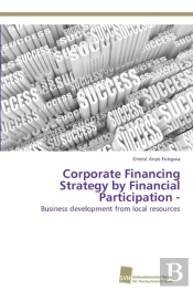 Corporate Financing Strategy By Financial Participation -