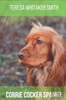 Corrie Cocker Spaniel
