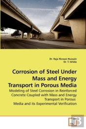 Corrosion Of Steel Under Mass And Energy Transport In Porous Media