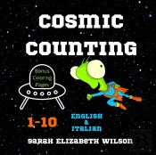 Cosmic Counting