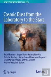 Cosmic Dust From The Laboratory To The Stars