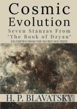 Cosmic Evolution