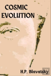 Cosmic Evolution