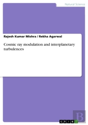 Cosmic Ray Modulation And Interplanetary Turbulences