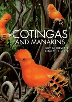 Bertrand.pt - Cotingas And Manakins