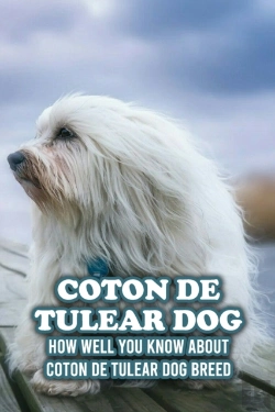 Bertrand.pt - Coton De Tulear Dog