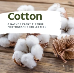 Bertrand.pt - Cotton