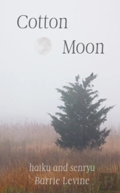 Cotton Moon