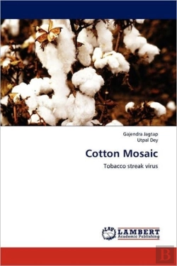 Bertrand.pt - Cotton Mosaic