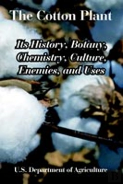 Bertrand.pt - Cotton Plant