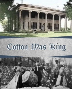 Bertrand.pt - Cotton Was King: Indian Farms To Lauderdale County Plantations