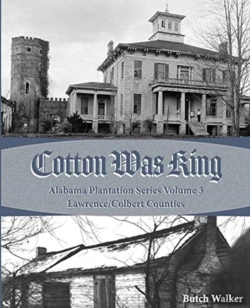 Bertrand.pt - Cotton Was King