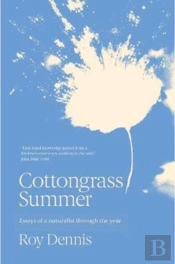 Cottongrass Summer