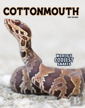Cottonmouth