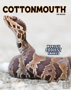 Bertrand.pt - Cottonmouth
