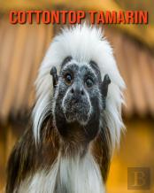 Cottontop Tamarin