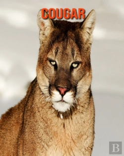Bertrand.pt - Cougar